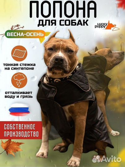 Попона для собак, куртка комбинезон