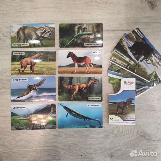 Умница. Мир на ладошке. Карточки