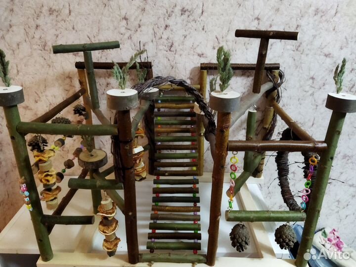 Стенд для попугая