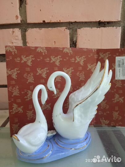 Пара лебедей