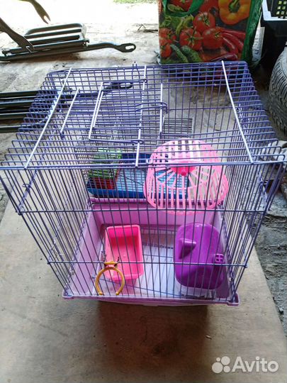 Клетка для хомяка бу