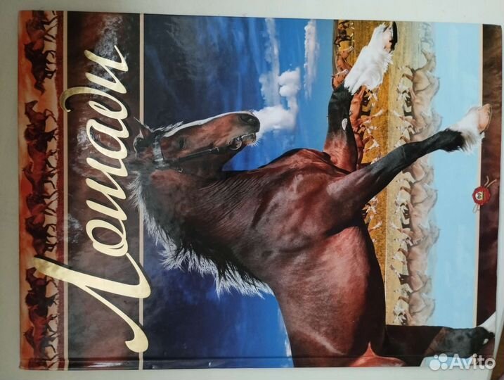 Книга о лошадях