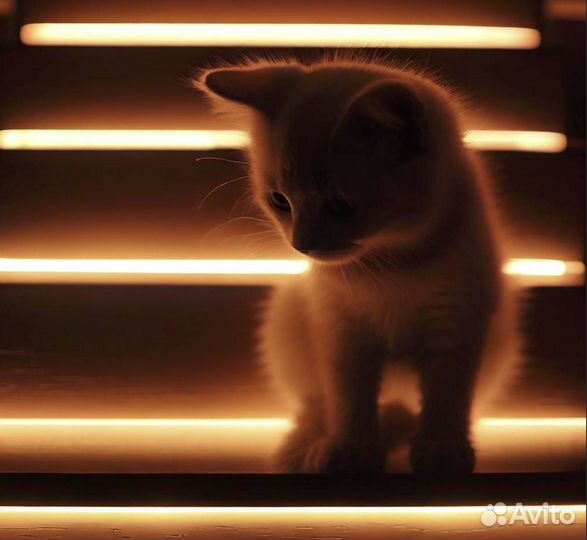 Подсветка лестницы с датчиками движения