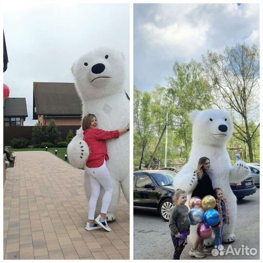 Аниматор. Белый Мишка