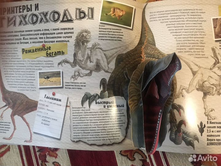 Динозавры. Короли мезозоя Маш Роберт