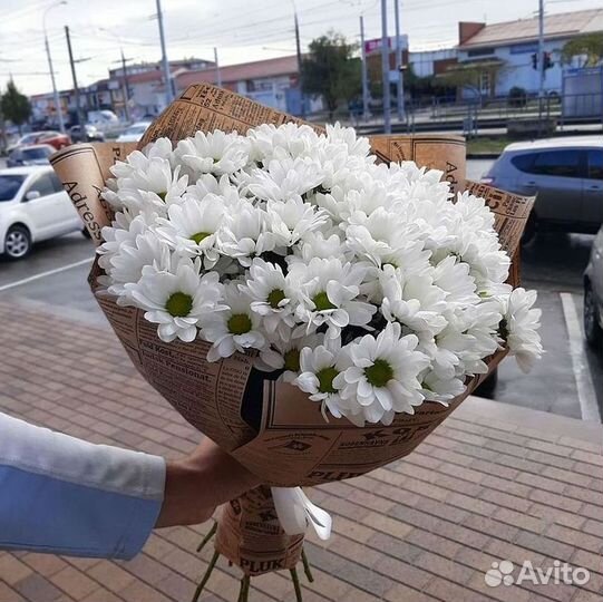 Хризантема. Букеты Цветы доставка