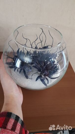 Флорариум композиция