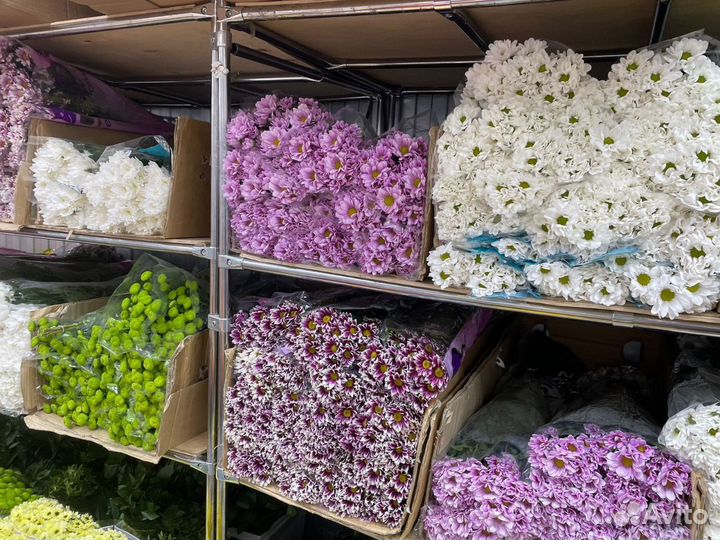 Цветы Букет Розы Хризантемы Астры 25 51 101