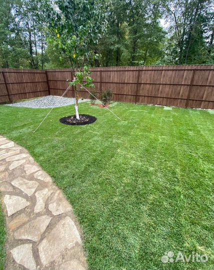 Укладка газона под ключ