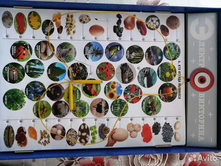 Настольная игра Электровикторина