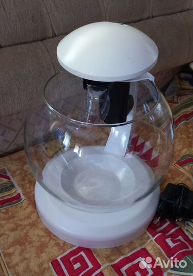 Аквариум тетра