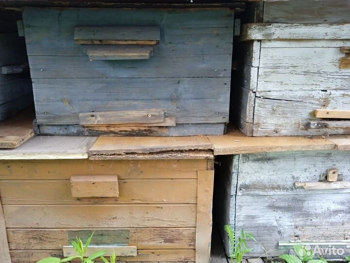 Ульи для пчел