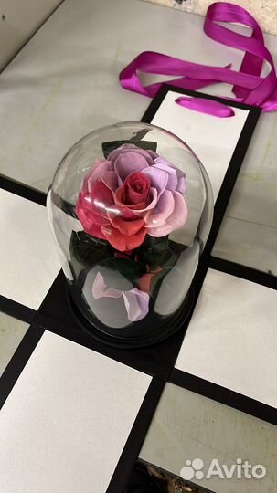 Роза в колбе из эквадора