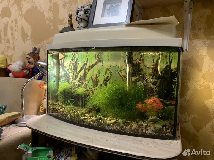 Аквариум 65л