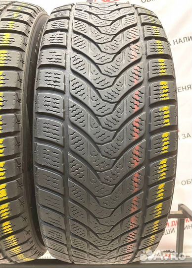 Delinte Winter WD1 215/55 R16 97R