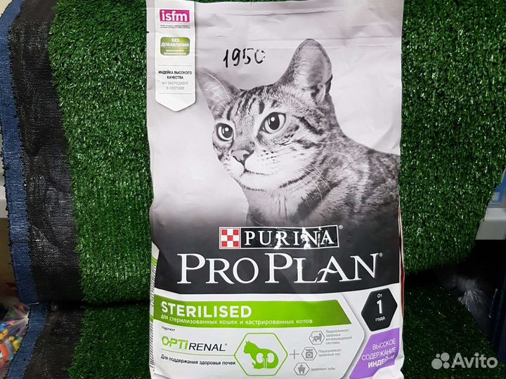 Корм для кошек