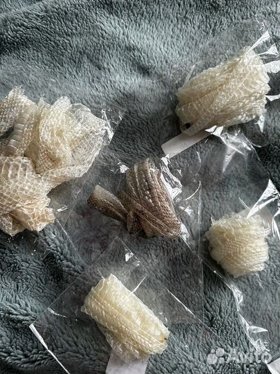 Змеиный выползок