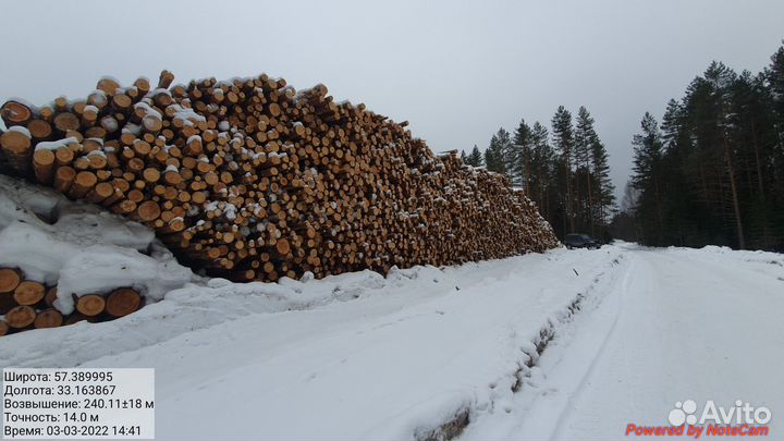 Продажа пиловочника