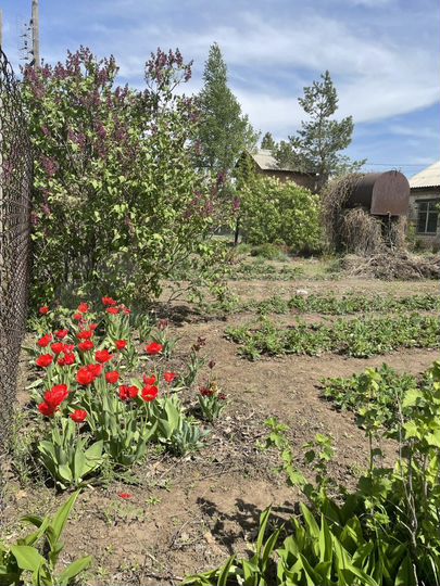 Участок 10 сот. (СНТ, ДНП)