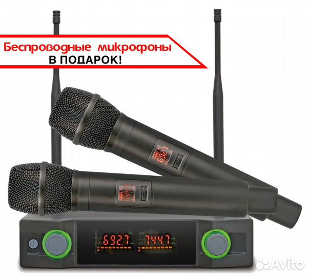 Караоке Evobox Black + микрофоны в подарок