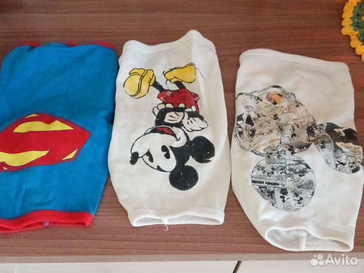 Одежда для маленьких собак xs