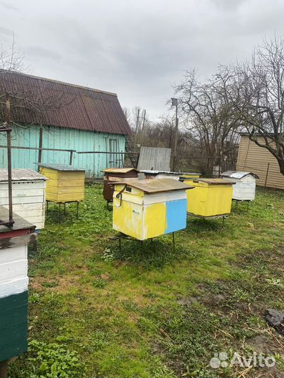Улий для пчел
