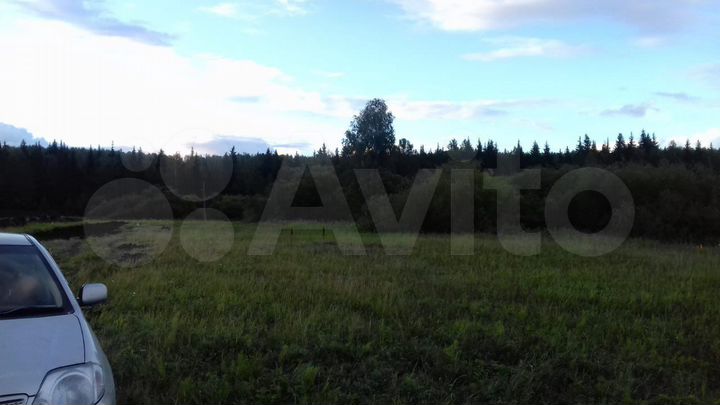 Участок 12 сот. (СНТ, ДНП)