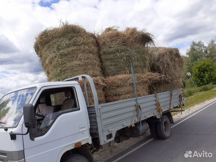 Солома, сено в рулонах