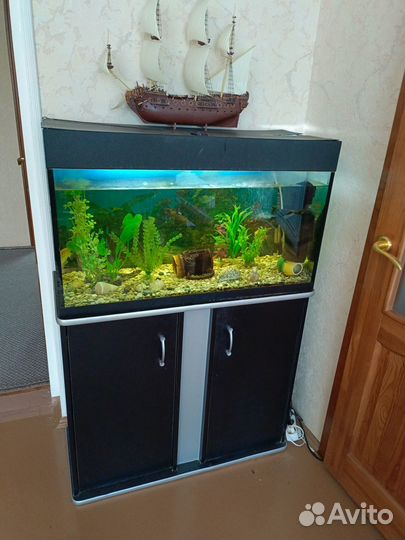 Аквариум с рыбами, тумбой и всеми принадлежностями