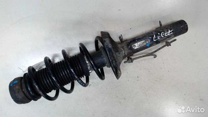 Амортизатор подвески левый передний Volkswagen Bora, 2005