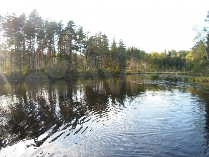 Участок 15 сот. (ИЖС)