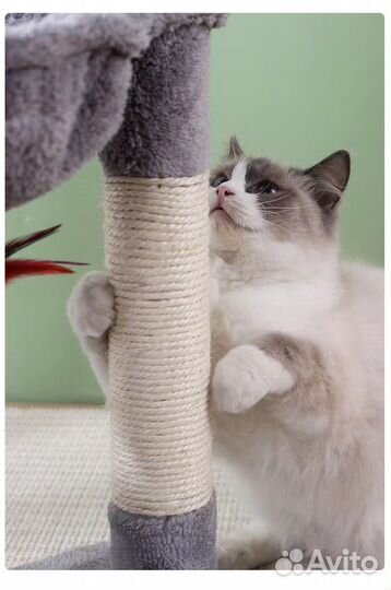 Качественная новая трехуровневая когтеточка