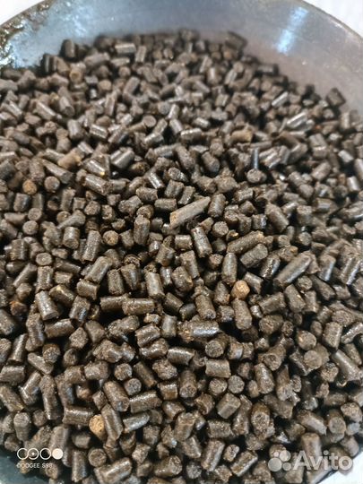 Корм для осетровых