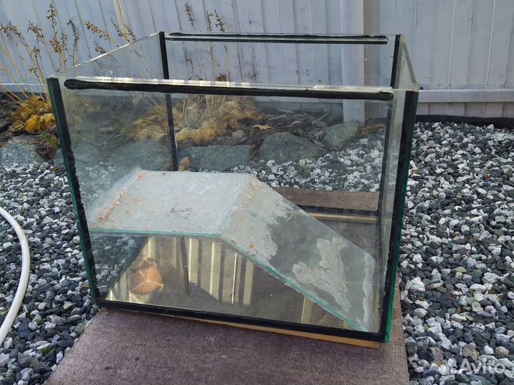 Черепашник