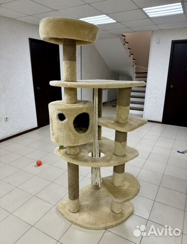 Домик для кошки с когтеточкой бу купить в Краснодаре | Животные и ...