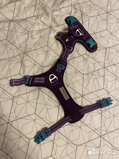 Анатомическая шлейка XS