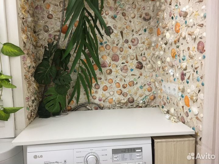 15 09 2023 много Ракушки средиземноморья