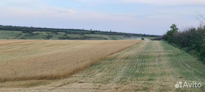 С/х продукция: зерно и отходы