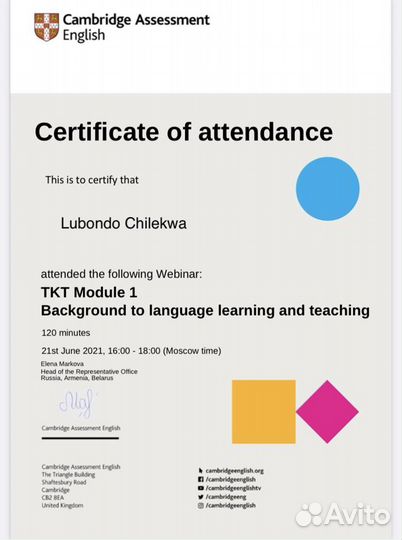 Репетитор (Носитель) по английскому языку