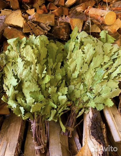 Дубовые веники для бани