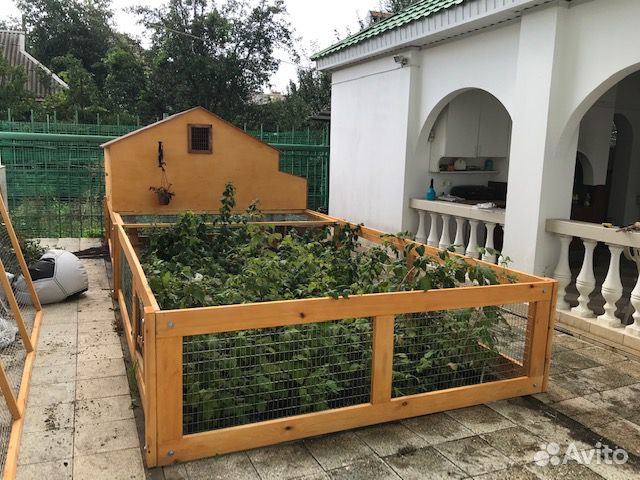 Курятник