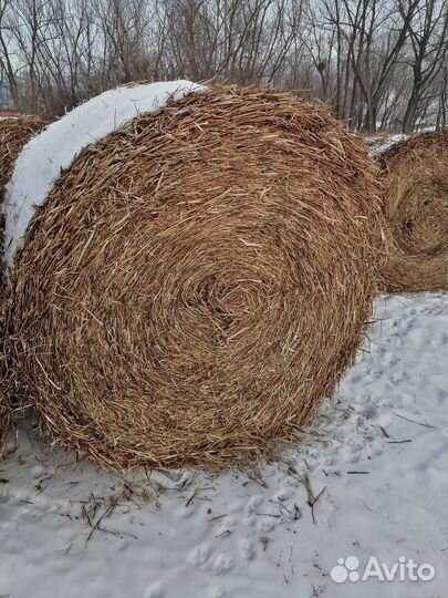 Солома в тюках