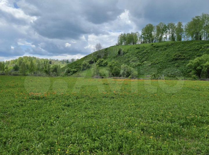 Участок 1201,22 га (СНТ, ДНП)