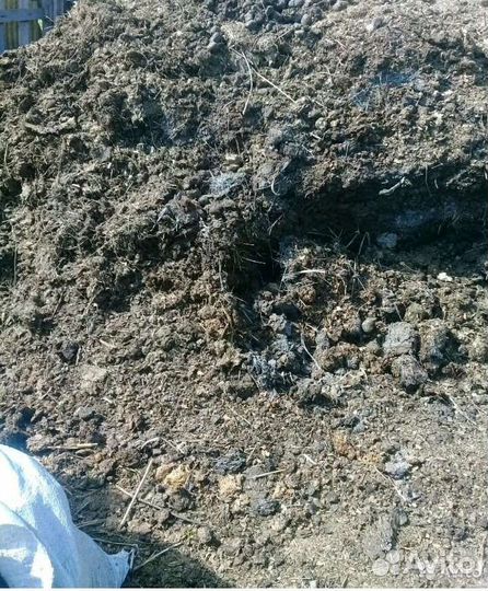 Конский навоз