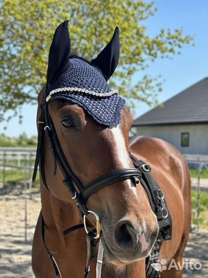 Ушки для лошади