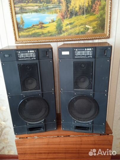 Акустические колонки Radiotehnika S-90B