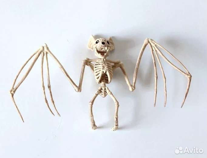 Летучая мышь, декор для дома