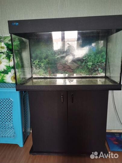 Аквариум с тумбой 160литров