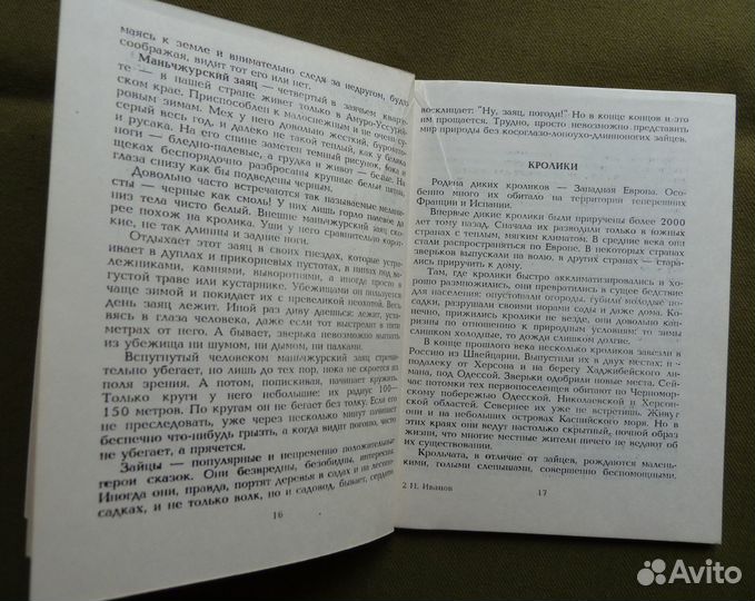 Кролики в вашем хозяйстве