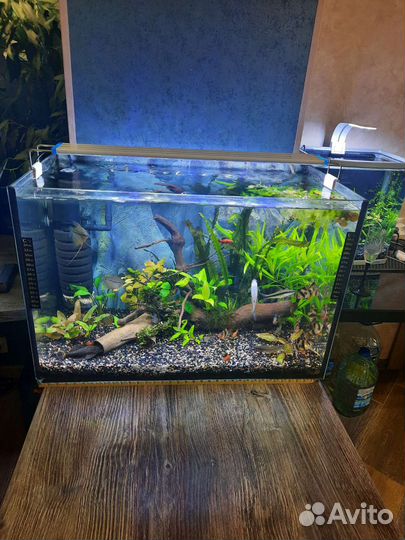 Аквариум